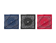 Load image into Gallery viewer, SUPREME®/HAV-A-HANK BANDANAS