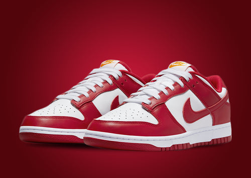 Nike Dunk “USC”