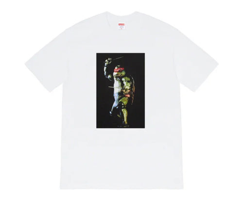 Supreme Raphael Tee